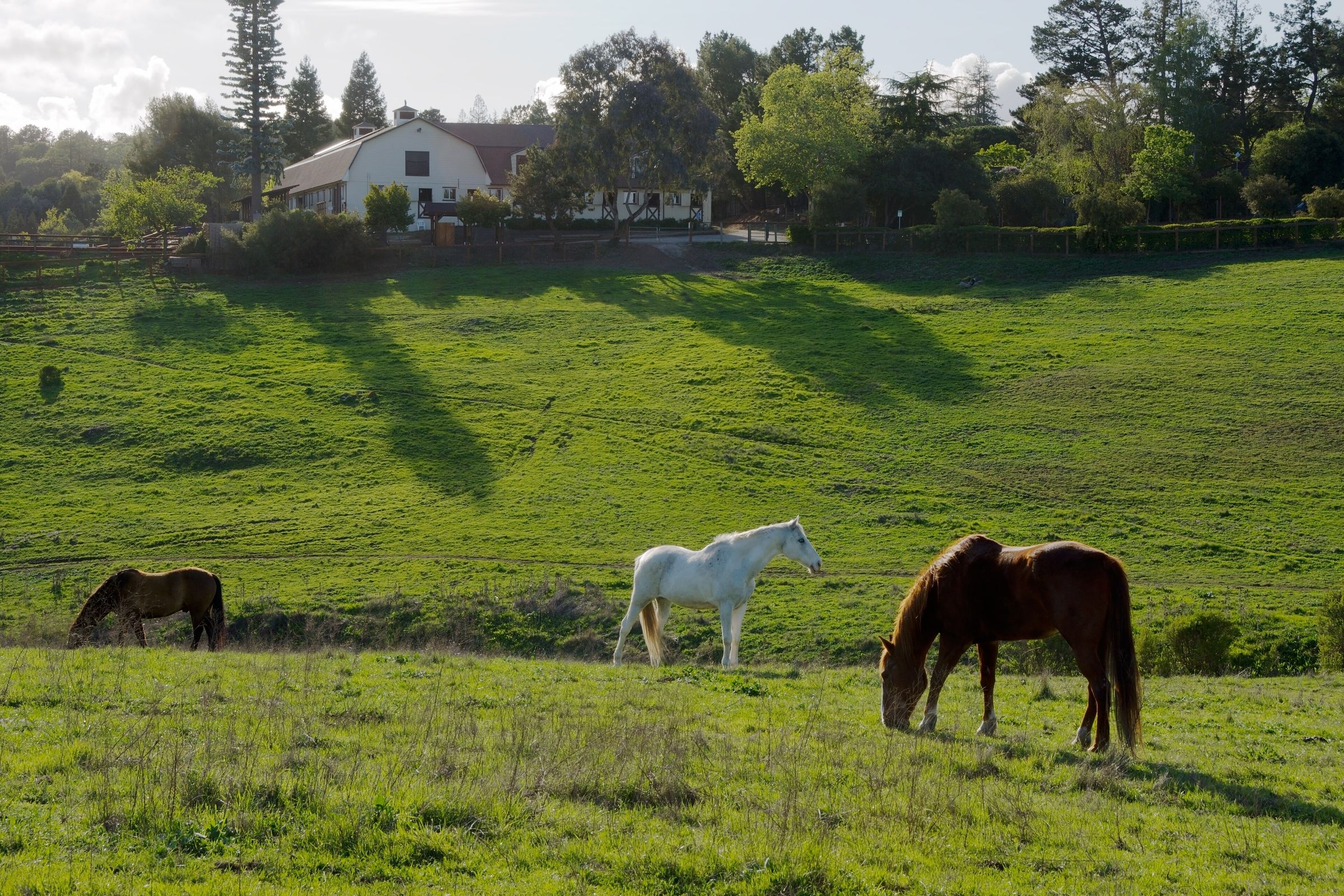 Westwind Community Barn in Los Altos Hills